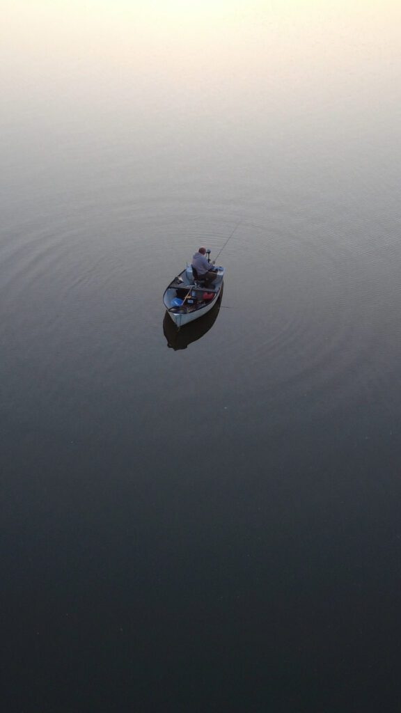 Horgászat a Duna partján az RSD-n Horgászat a Duna partján az RSD-n