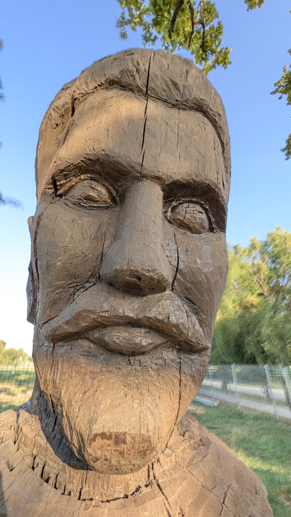 Petőfi fa és szobor Dömsödön Petőfi fa és szobor Dömsödön