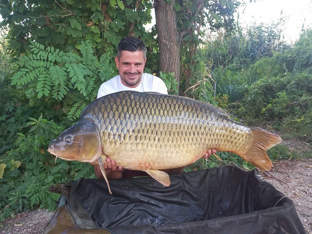 20 + kg big carp catch in Hungary