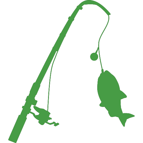 Conseils et astuces pour réussir la pêche à la carpe en Hongrie